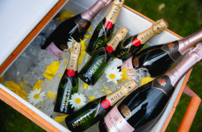 Event planning and management – Flyberry events