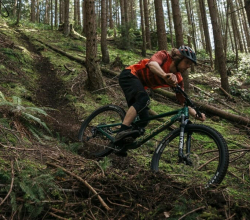Norco Sight