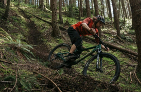 Norco Sight