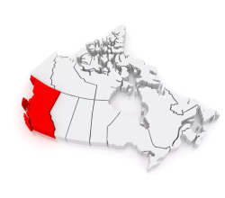 Registered dietitians and nutritionists servicing the province of British Columbia