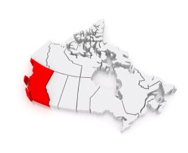 Registered dietitians and nutritionists servicing the province of British Columbia