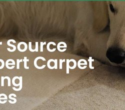 NO TRICKS, NO GIMMICKS AND NO HIDDEN CHARGES PRICING FOR RUG, CARPET AND UPHOLSTERY CLEANING