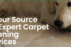 NO TRICKS, NO GIMMICKS AND NO HIDDEN CHARGES PRICING FOR RUG, CARPET AND UPHOLSTERY CLEANING