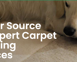 NO TRICKS, NO GIMMICKS AND NO HIDDEN CHARGES PRICING FOR RUG, CARPET AND UPHOLSTERY CLEANING