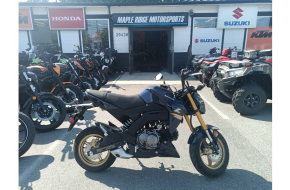 2023 Kawasaki Z125 Pro PRICE MAY NOT REFLECT CURRENT PROGRAMS CALL FOR DETAILS OR REQUEST A QUOTE- 18% Off