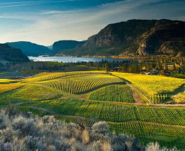 Canadian Rockies Peaks & Okanagan Grapes Road Trip