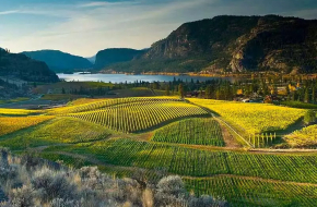 Canadian Rockies Peaks & Okanagan Grapes Road Trip