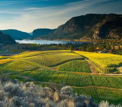 Canadian Rockies Peaks & Okanagan Grapes Road Trip