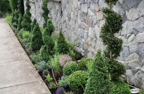Gardener in Vancouver, British Columbia