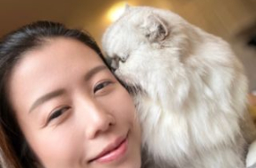 Dedicated Cat Room. Special Needs Cats Are Welcome. 烈治文獨立貓貓房間，歡迎需要特別照顧的貓貓入住。 @ Richmond by Trudy